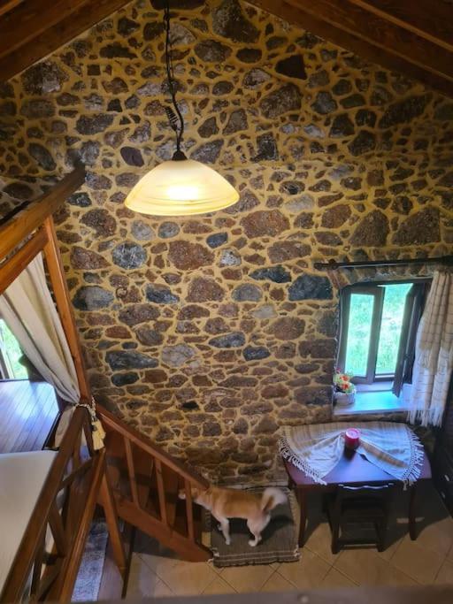 Annas Cozy Cottage Kalymnos Panormos  Esterno foto