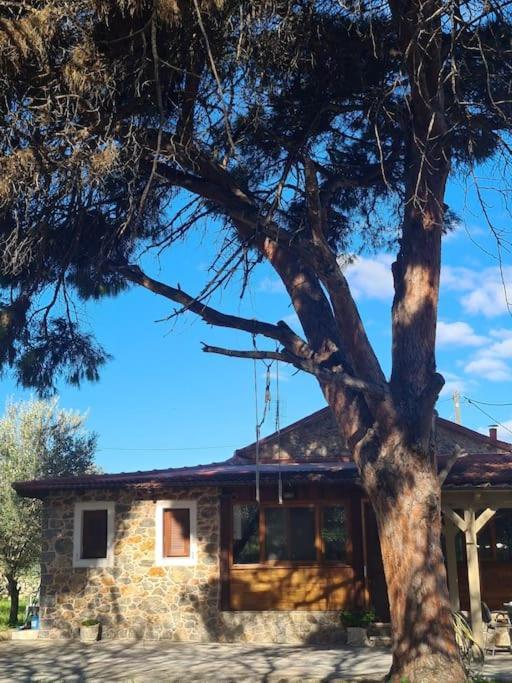 Annas Cozy Cottage Kalymnos Panormos  Esterno foto